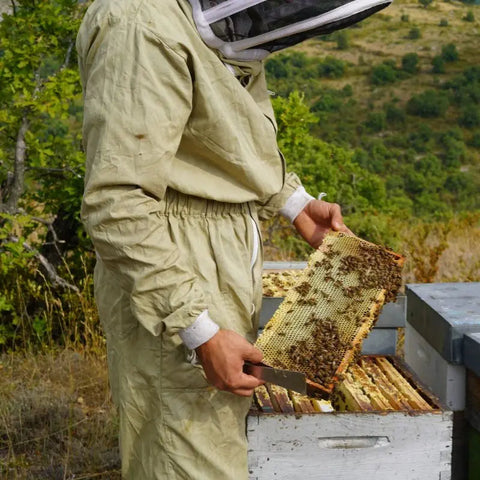 Miel artisanal - Miel de garrigue - Miel de bruyère - Miel local